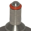 BE-000122-00_fermenator_prv_o-ring_top.jpg