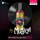 RJS RQ25 Italian Pinot Grigio Sauvignon Blanc Wine Kit - Limited Release