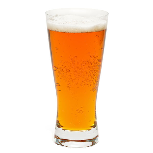 Basic Homebrew Starter Equipment Kit