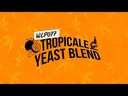 White Labs WLP077 Tropicale Yeast Blend