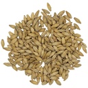 Dingemans Belgian Pilsen Malt (55 lb. Bag)