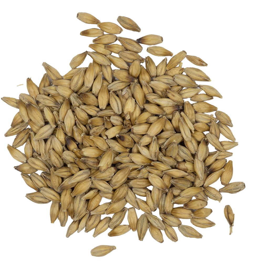 Sugar Creek French Pilsner Malt (55 lb. Bag)
