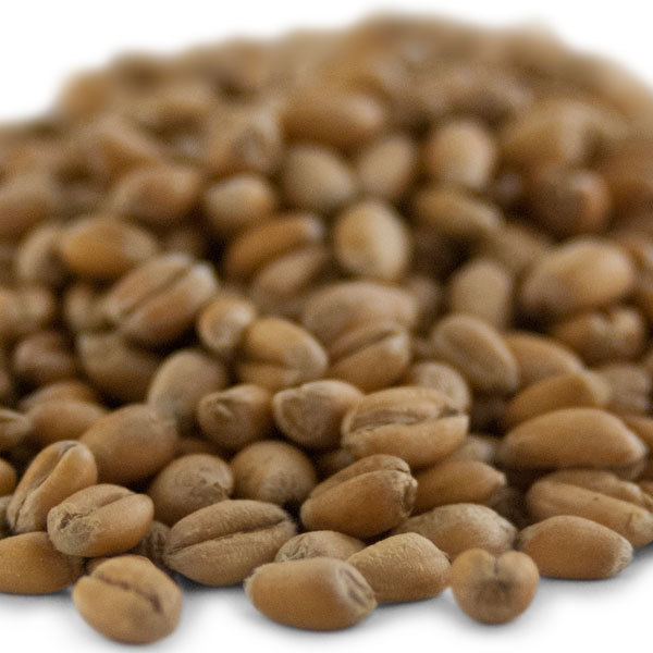 Briess Torrified Red Wheat