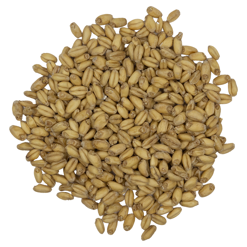 Rahr White Wheat