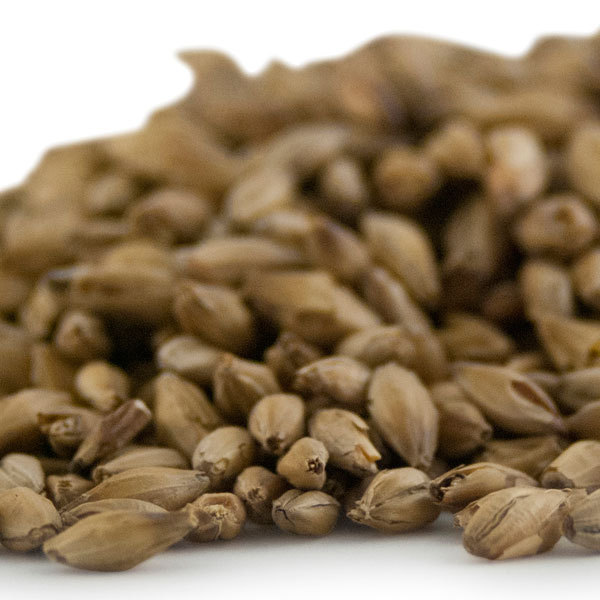 Warminster Floor Malted Maris Otter Malt