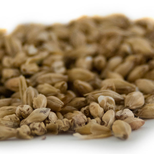 Rahr 2-Row Brewers Malt