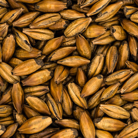Simpsons Export Pale Brown Malt