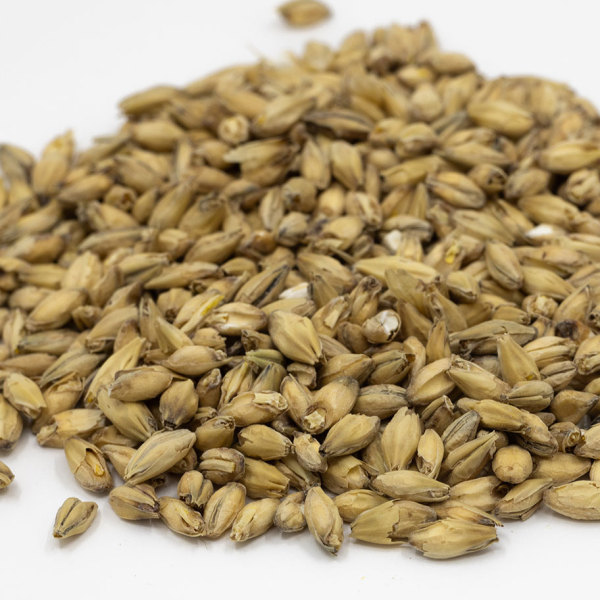 Briess 2-Row Brewers Malt