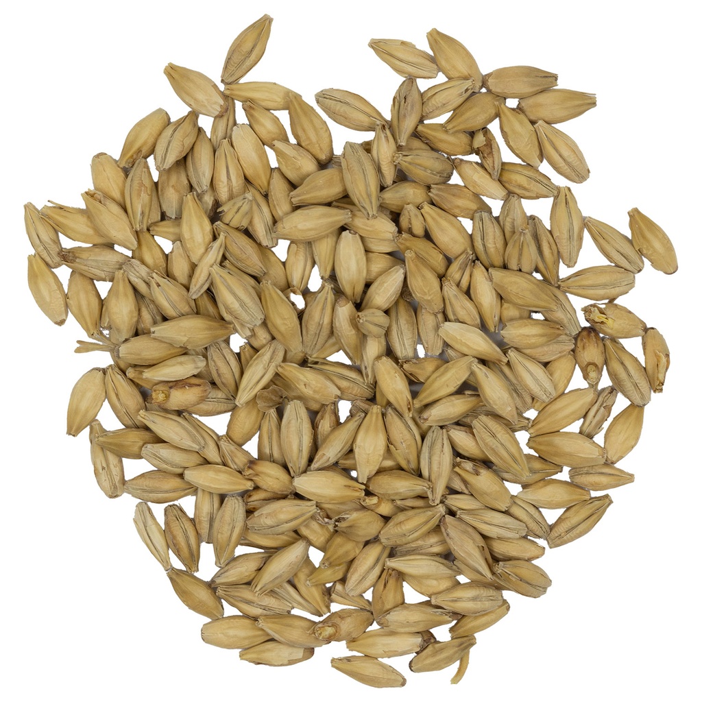 Avangard German Pilsner Malt