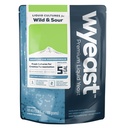 Wyeast 5112  Brettanomyces Bruxellensis