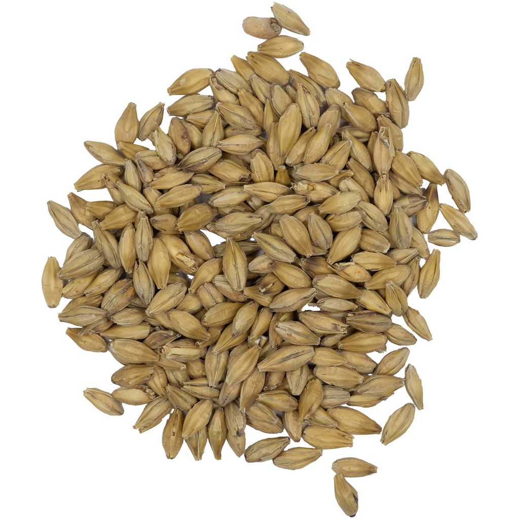 Weyermann Floor-Malted Bohemian Pilsner Malt