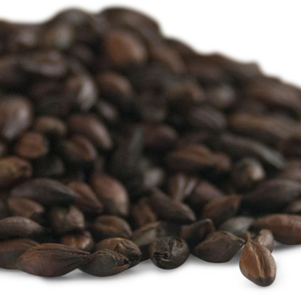Briess Black Patent Malt (Black Malt)