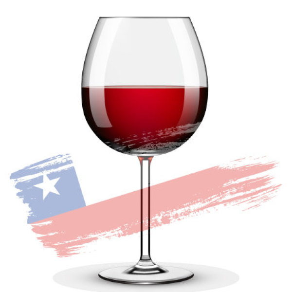 Carmenere Fresh Juice - 6 gallons (Chile)