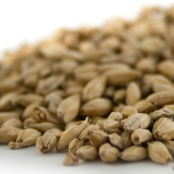 Sugar Creek 6-Row Pale Malt