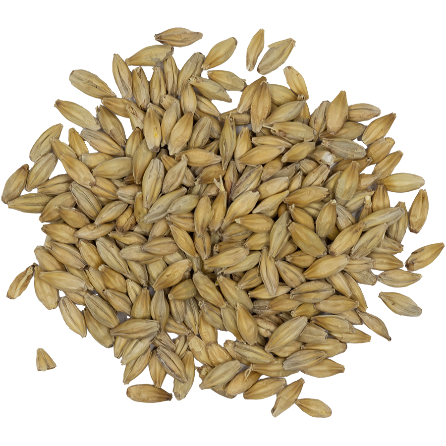 Sugar Creek 2-Row Pilsner Malt