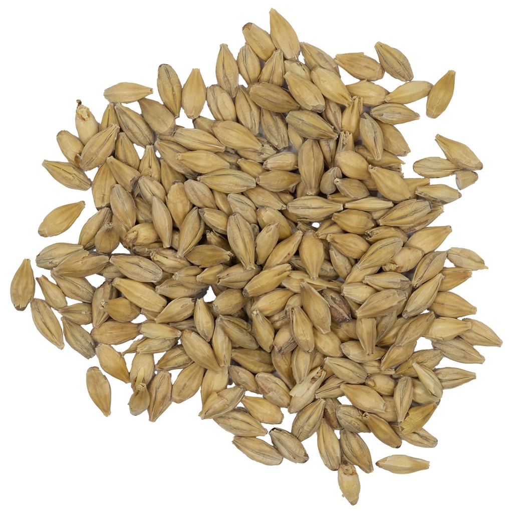 Best Malz German Pilsner Malt