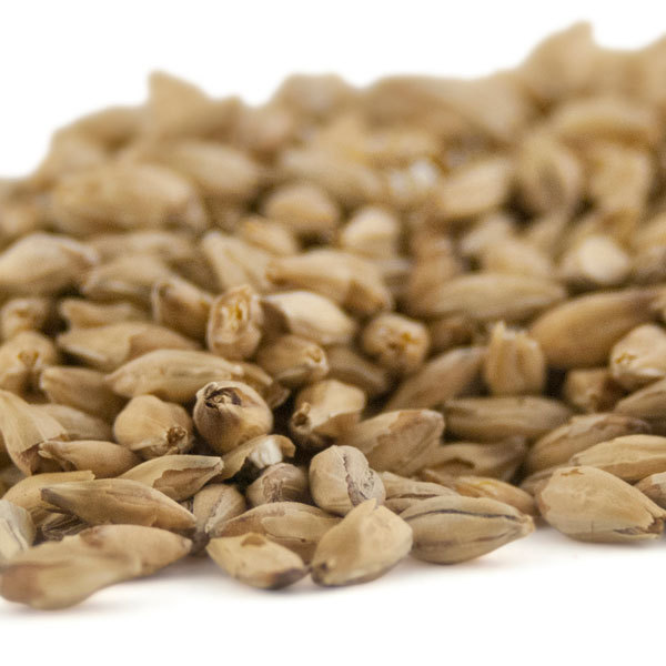 Dingemans Belgian Pale Ale Malt