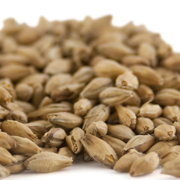 Dingemans Belgian Pilsen Malt