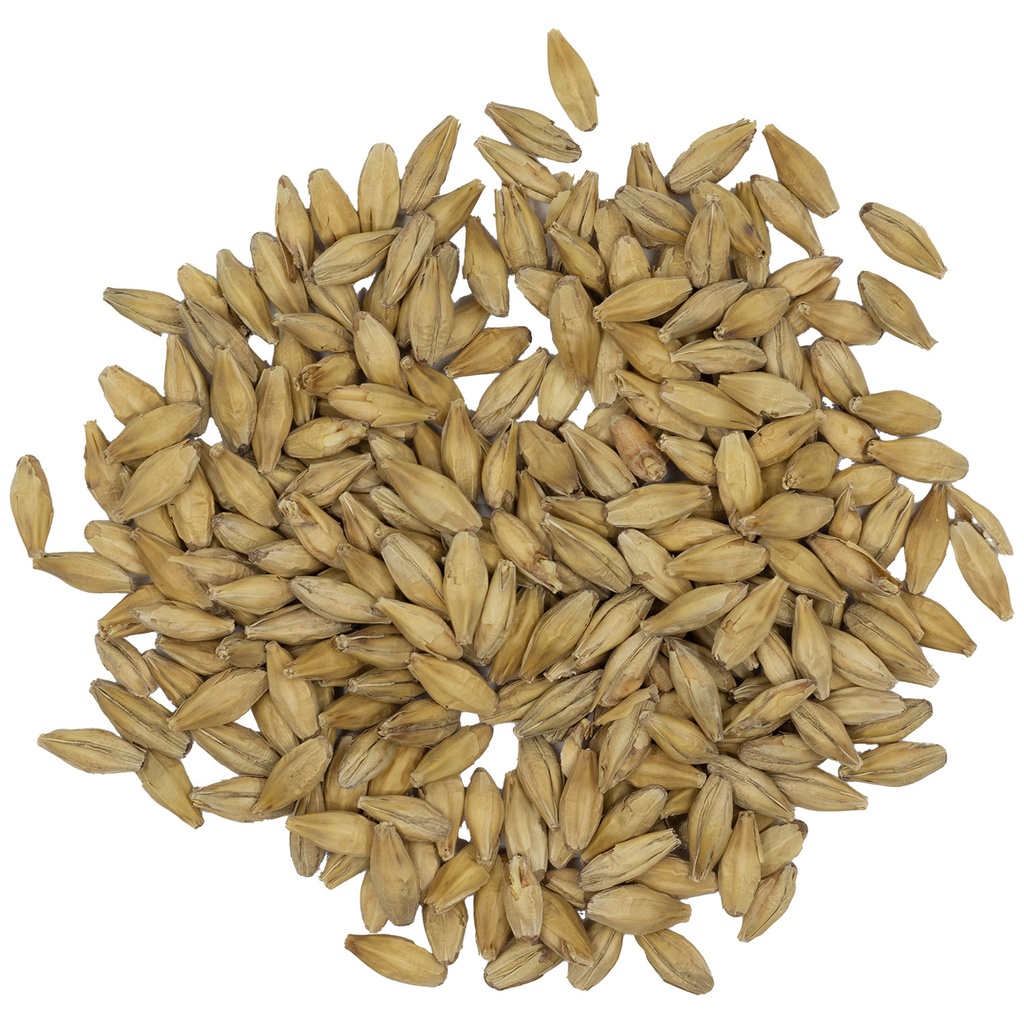 Dingemans Belgian Pilsen Malt