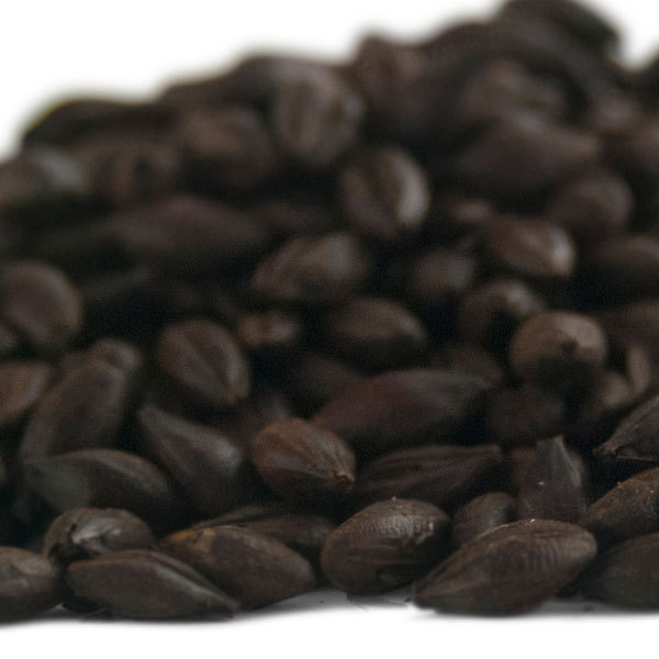 Briess Roasted Barley