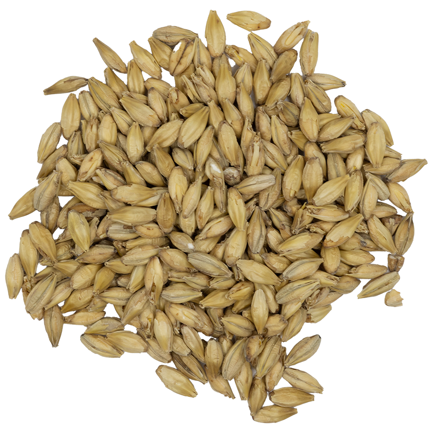 Great Western Superior Pilsen Malt