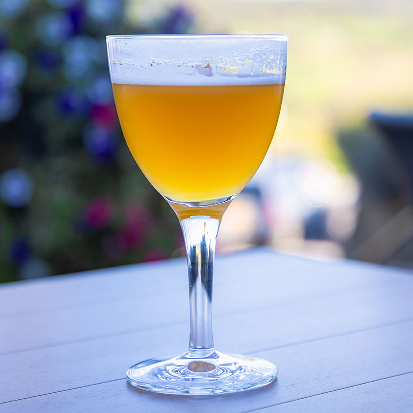 Time of the Saison Extract Beer Kit