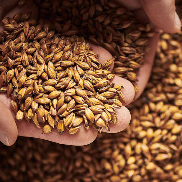 Weyermann Floor-Malted Bohemian Dark Malt