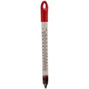 Floating Thermometer