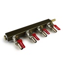 4-Way Gas Splitter/Manifold with Shutoff and Check Valves - 5/16 in. Barbed Fittings