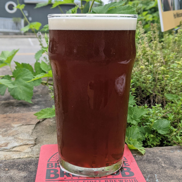 Indiana Special Bitter Extract Beer Kit