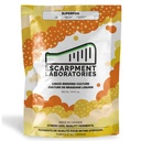 Superfog Yeast - Escarpment Labs