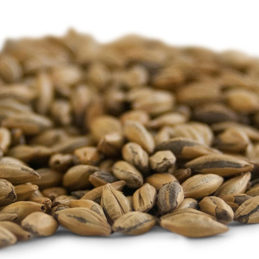 Kilned & Toasted Malts