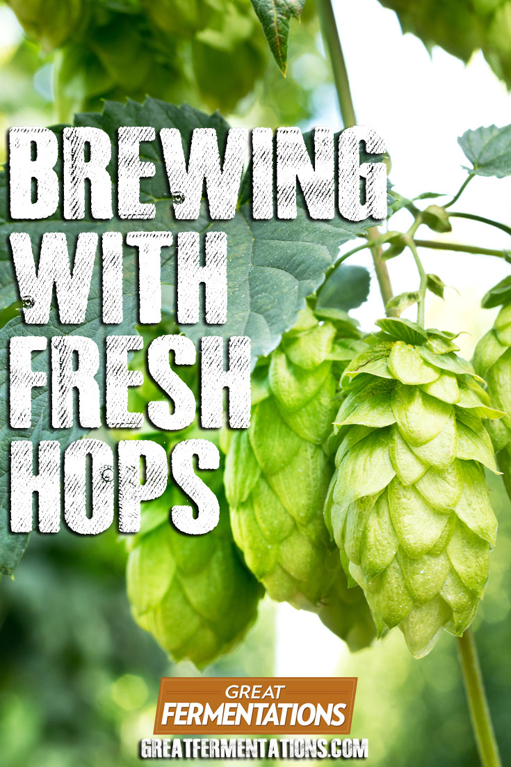 how-to-brew-with-fresh-hops-blog-pin