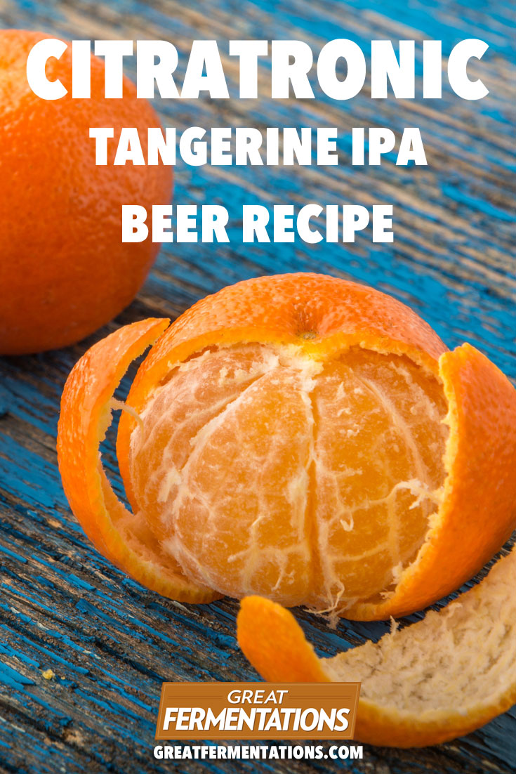 citradelic-tangerine-ipa-recipe-blog-pin
